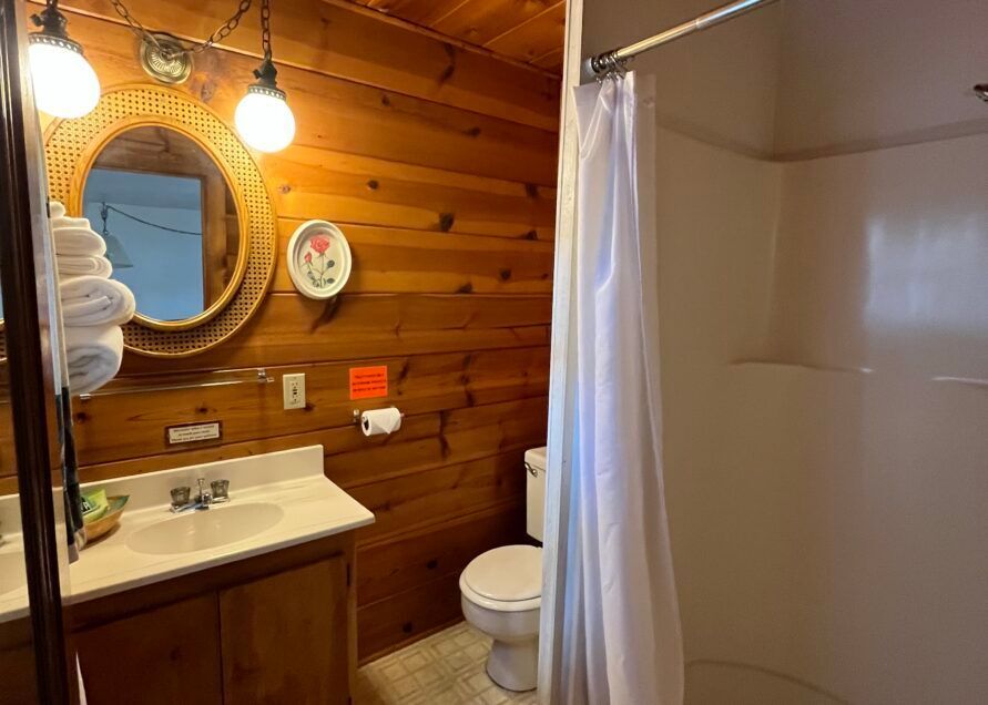Bathroom with wood-paneled walls. Features include a sink, toilet, shower with a white curtain, and a wicker-framed mirror.