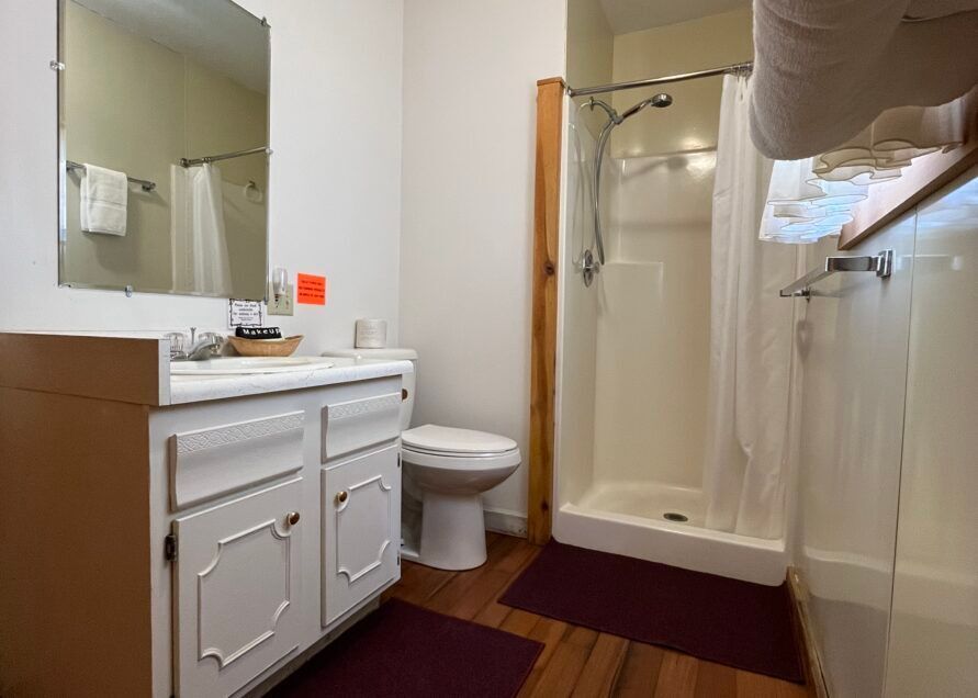 Bathroom with white vanity, toilet, and shower. The floor is wood with burgundy mats. A mirror is above the vanity.