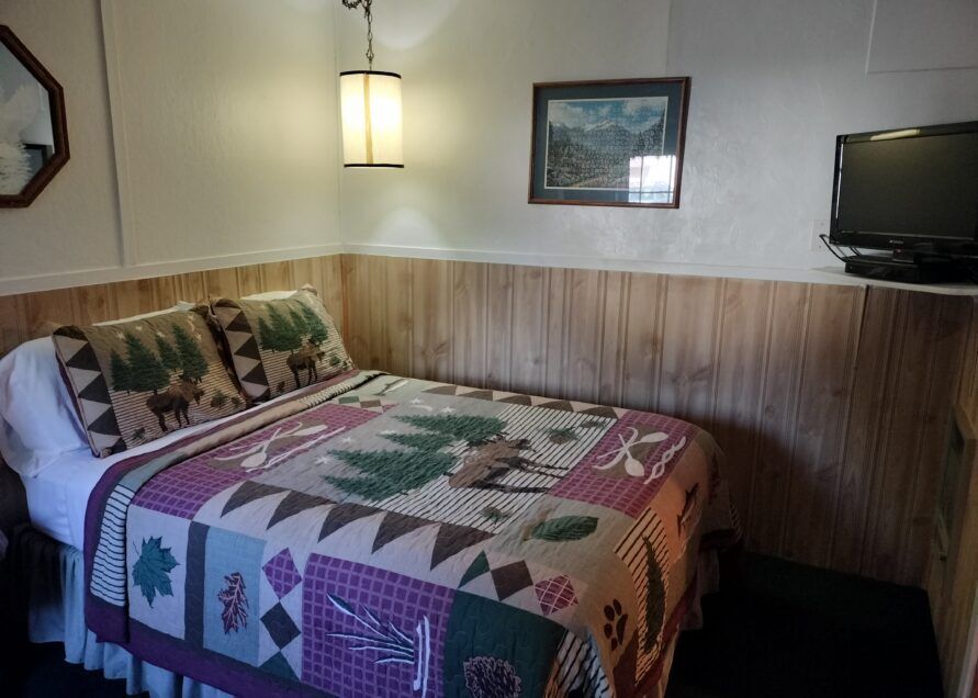 Cozy motel room with a double bed featuring a quilted comforter with a forest and leaf design. A small TV hangs on the wall.