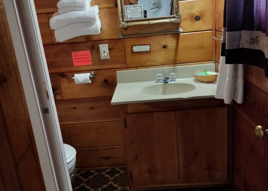 Small bathroom with wood paneling.  A sink, toilet, and shower curtain are visible. White towels sit on a shelf.
