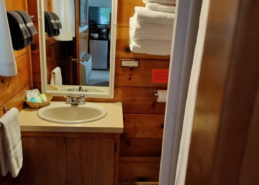 Bathroom with wood paneling, a sink, and a mirror.