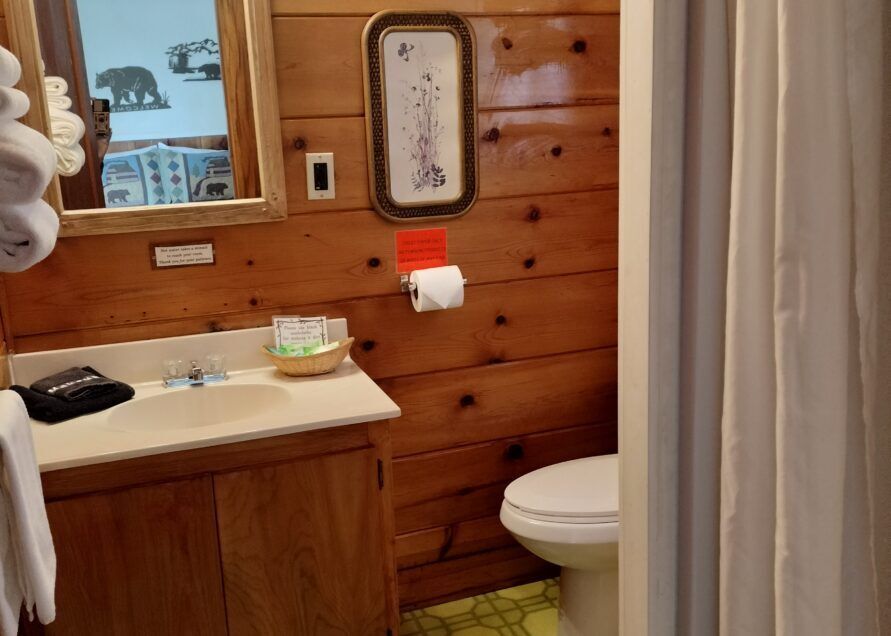 Rustic bathroom with wood paneling, a vanity with a sink, and a toilet. A shower curtain hangs on the right.