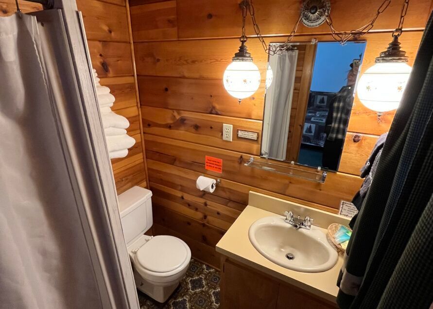Small bathroom with wood-paneled walls, toilet, sink, and mirror. Two pendant lights illuminate the space.