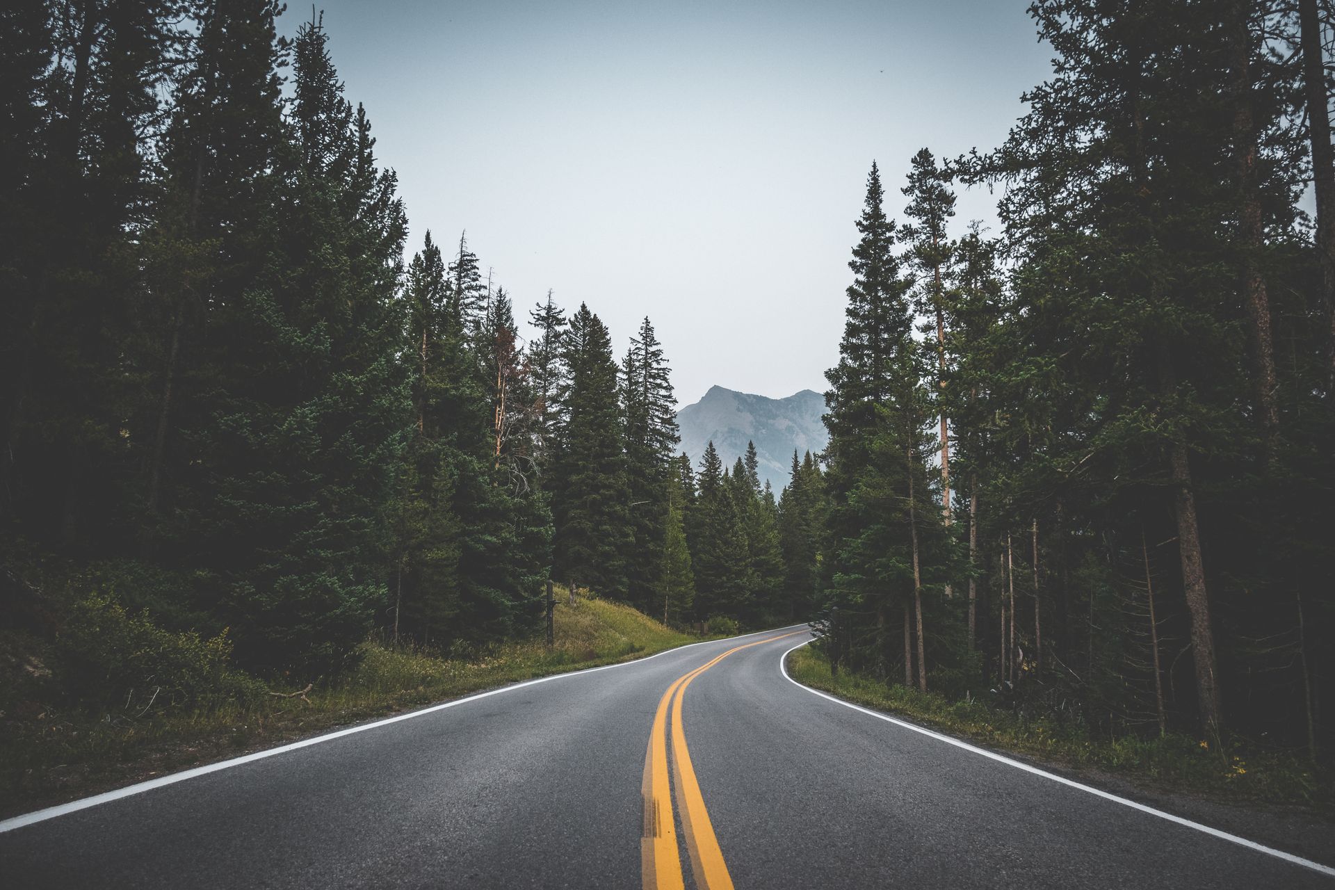 A winding road through a dark green forest, leading toward a mountain range under a cloudy sky.