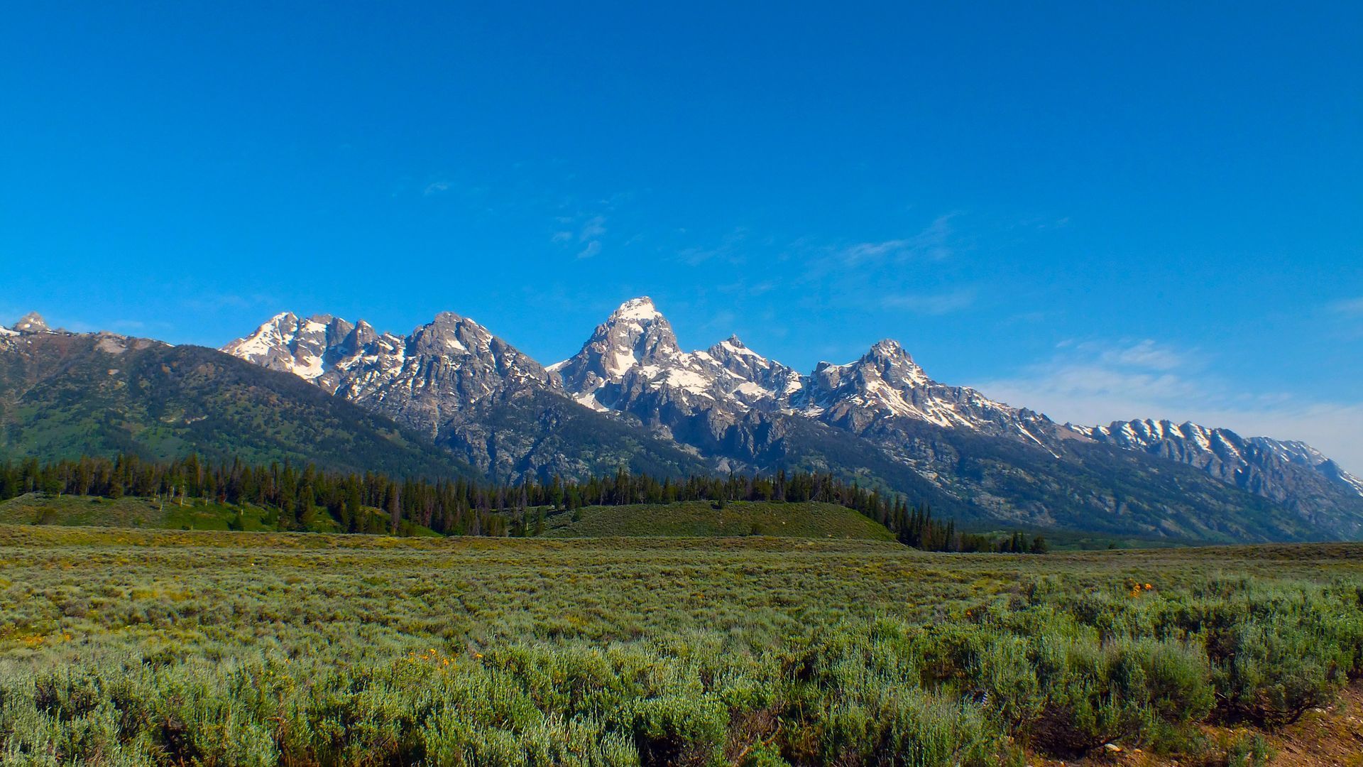 Mountains with snowy peaks rise above a field of sagebrush under a bright blue sky.