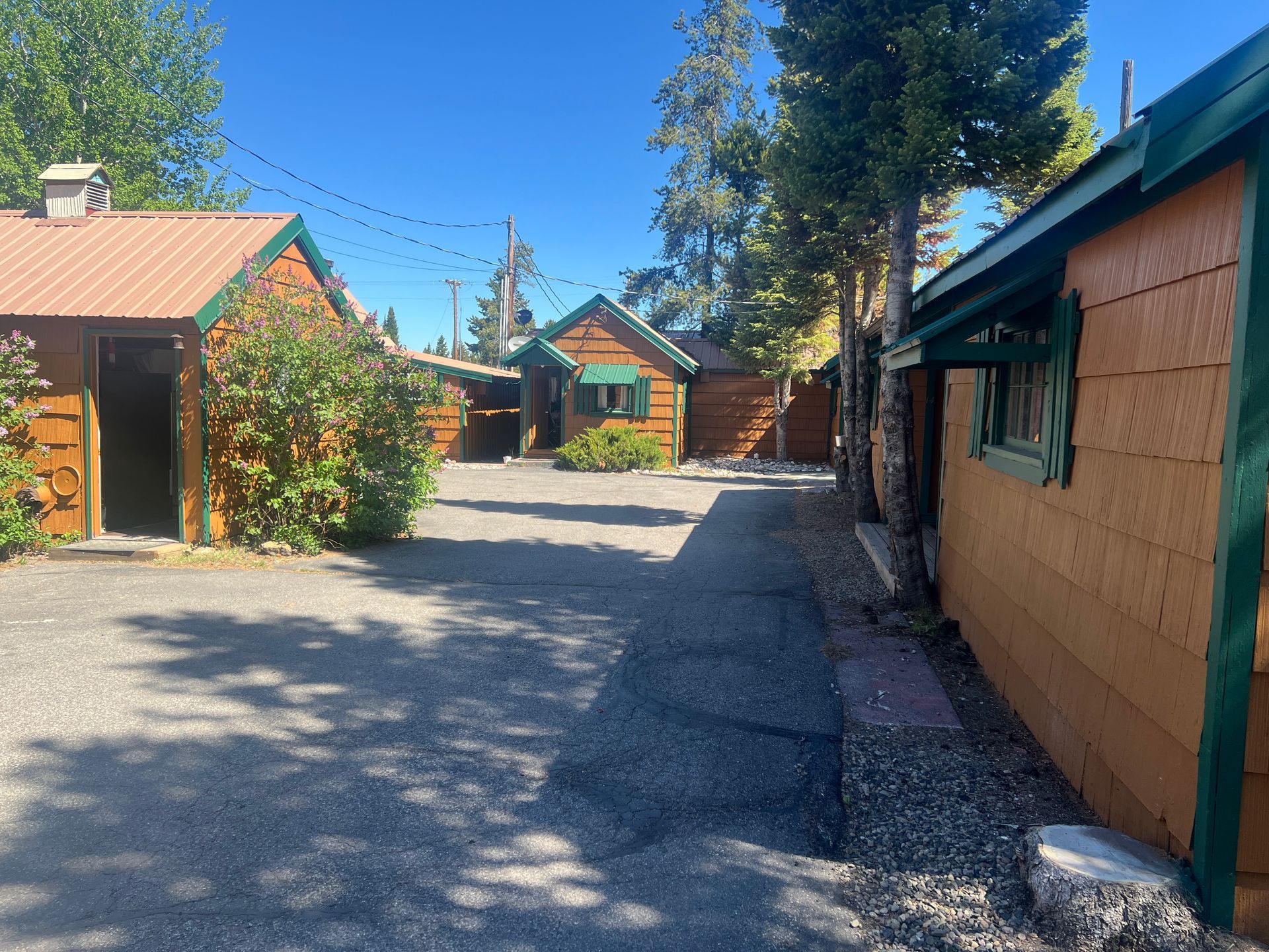 Sunny gravel driveway between rustic cabins and tall pine trees in a wooded lodge setting