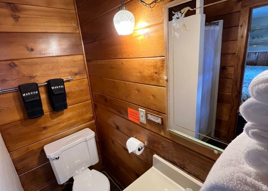 Small cabin bathroom with wood-paneled walls, toilet, sink, mirror, and shower. A light is on above the mirror.