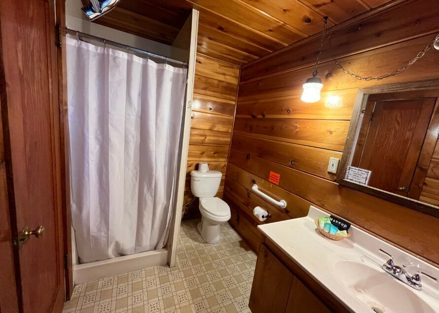 Bathroom with wood-paneled walls, a toilet, shower with a white curtain, sink, and a mirror.