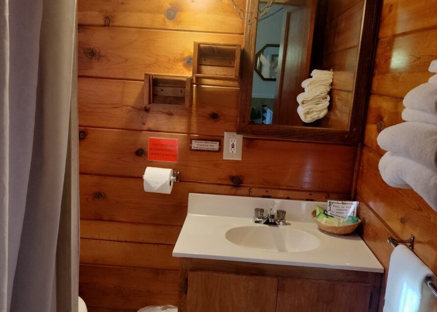 Small bathroom with wooden walls and a sink.