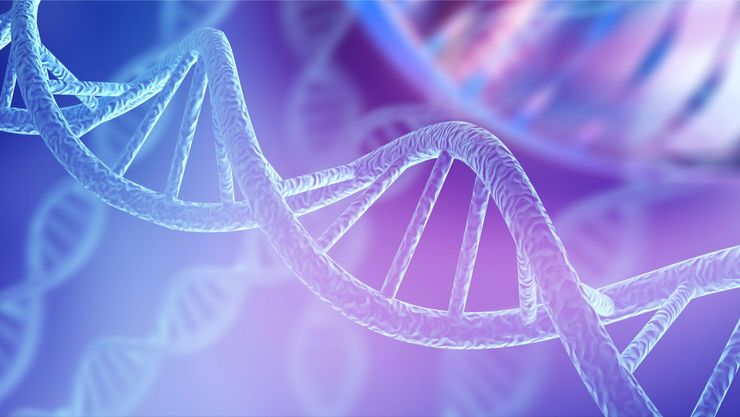 raffigurazione DNA