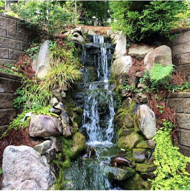 Backyard WaterFall