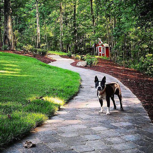 design and installation