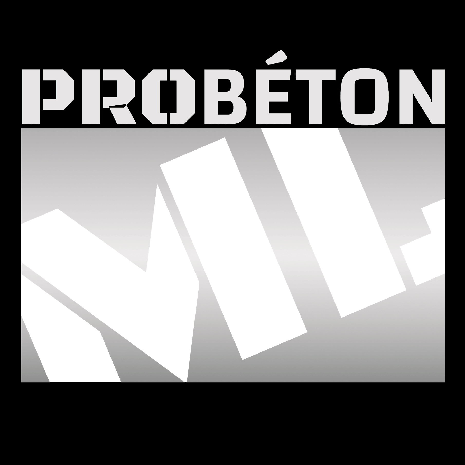 LOGO Pro Béton ML