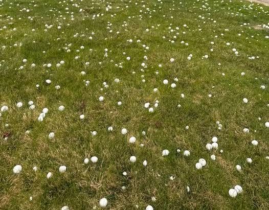 large hail in a lawn