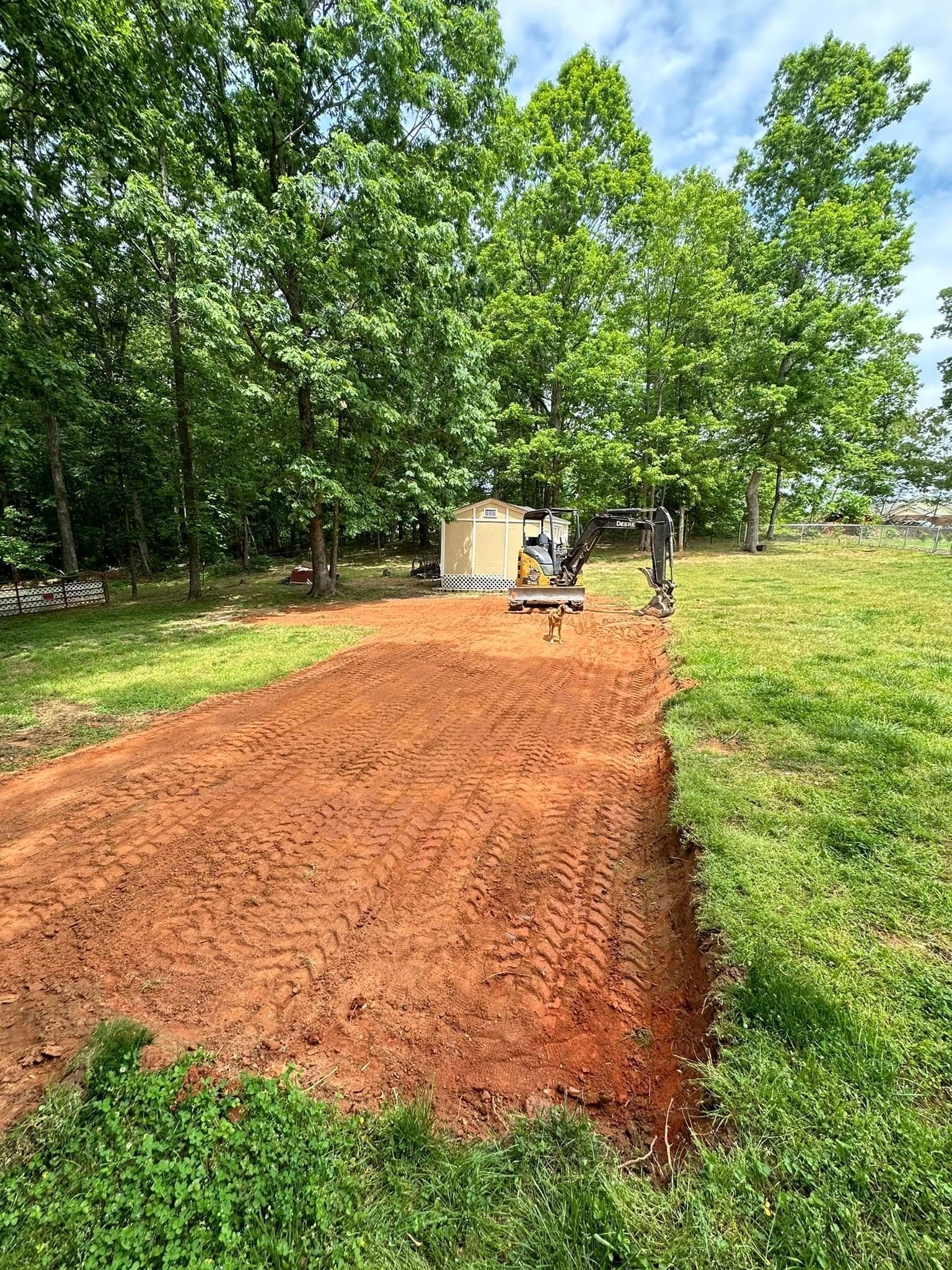 A dirt road going through a grassy field with trees in the background.