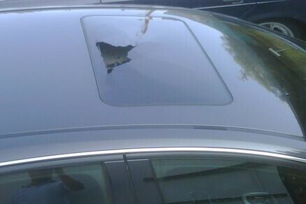 A car with a sunroof is parked in a parking lot.