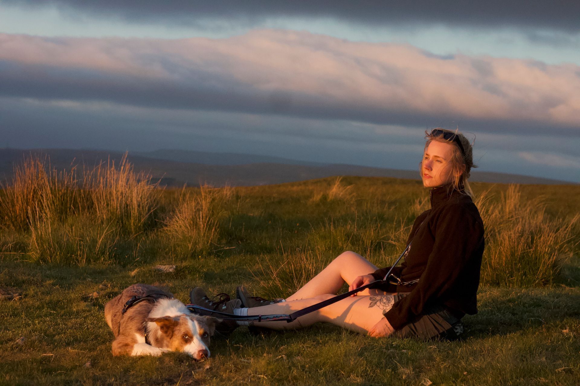 sunset image of red merle border collie attached around the owners waist hands-free by twiggy tags trailfinder multi-way lead in the brecon beacons