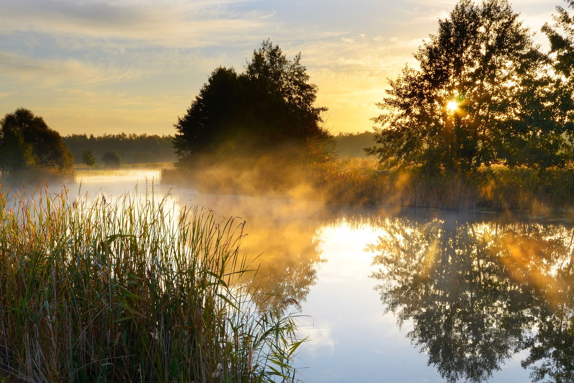 The sun is setting over a foggy lake with trees in the background