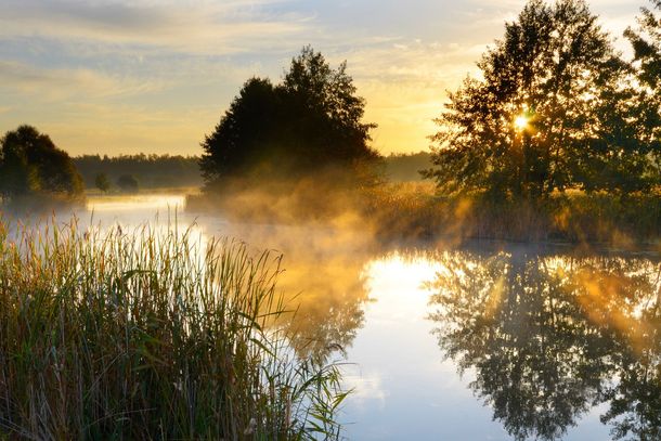 The sun is setting over a foggy lake with trees in the background