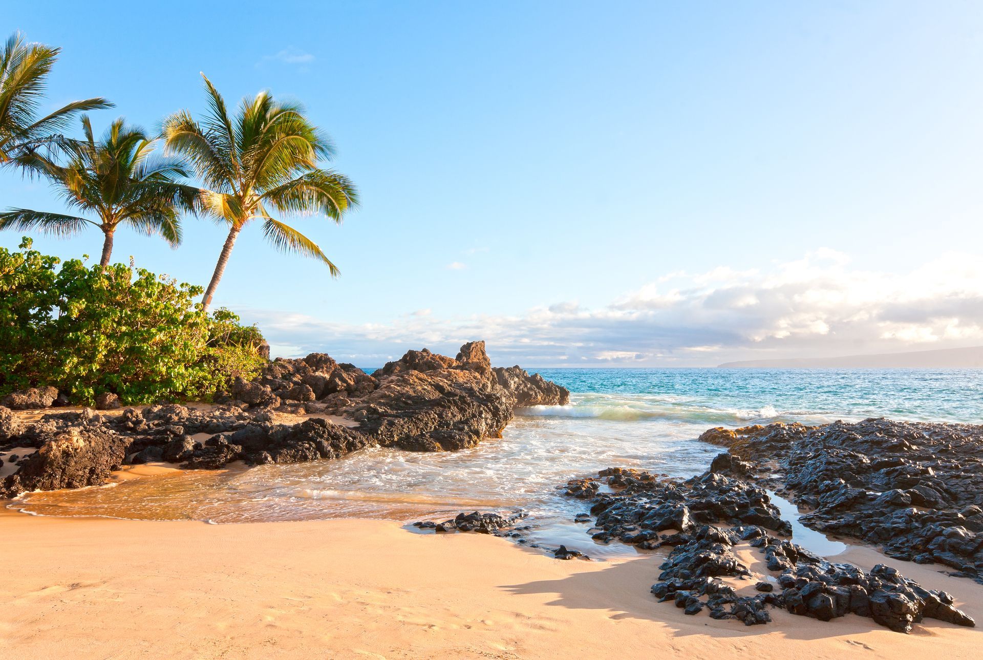 A tropical beach with palm trees and rocks near the ocean