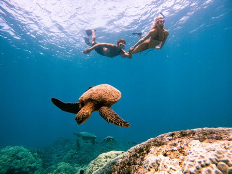 Two young girls are swimming underwater in the ocean.