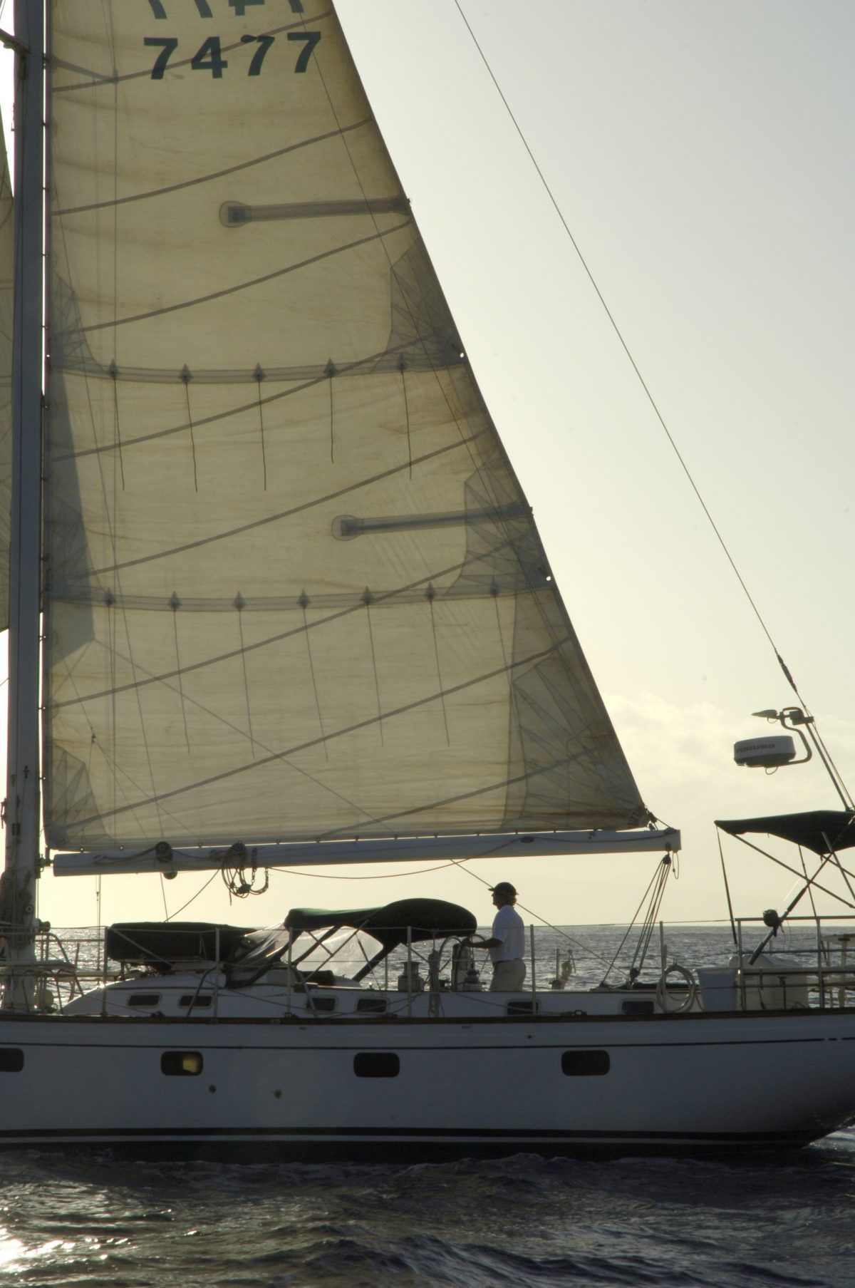 A sailboat with the number 1477 on the sail