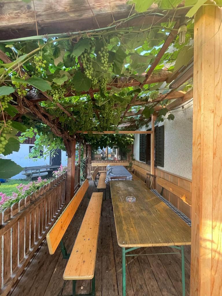 Überdachter Sitzbereich im Freien mit Weinreben, Holzbänken und Tischen.