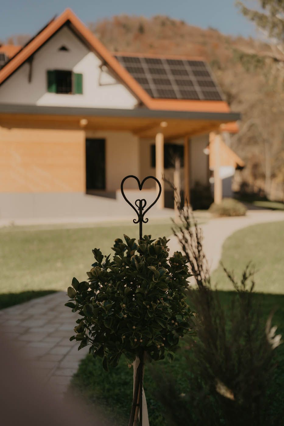 Herzförmig geformte Hecken vor einem modernen Haus mit Solaranlage und grünem Rasen an einem sonnigen Tag.