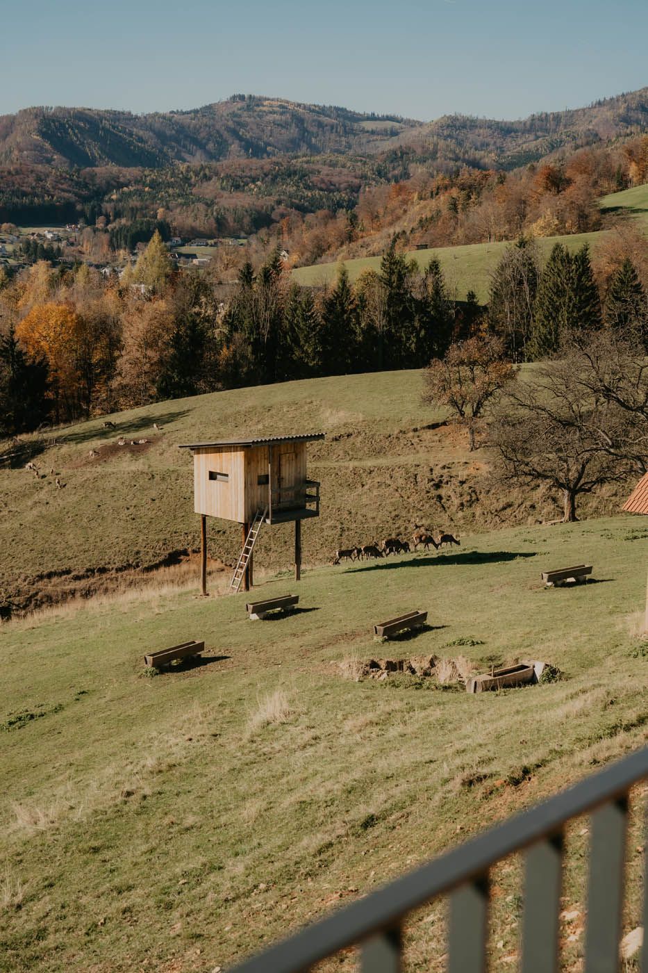 Holzkonstruktion auf Stelzen in einer Wiese, mit Picknickbänken. Berge und Bäume im Hintergrund. Sonniger Tag.