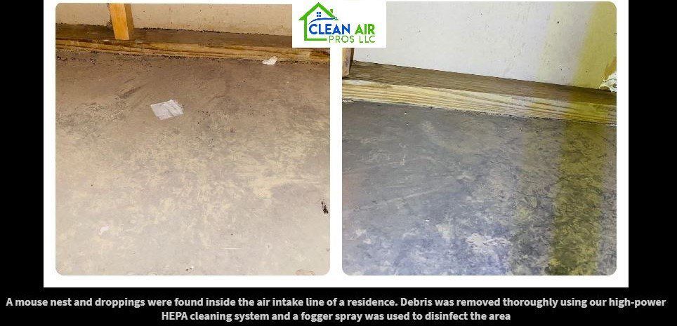 Before and after photos of a concrete surface treated for debris, possibly mold, by a cleaning service.