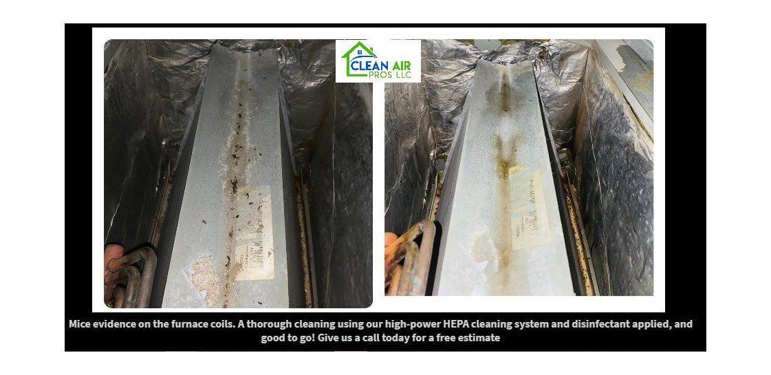 Before and after view of a gutter cleaning process, showing dirty and clean gutters with a logo.