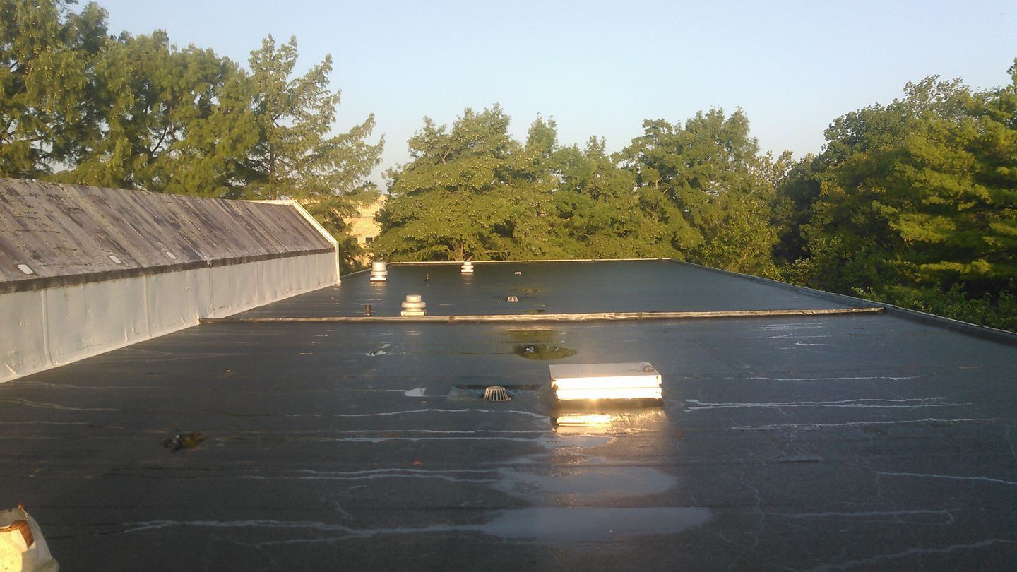 A large black roof with trees in the background.