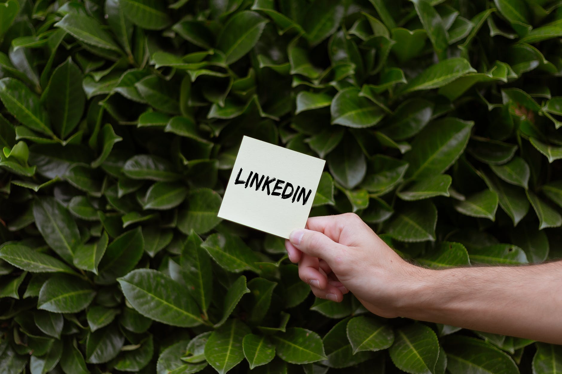 Person holding a card with linkedin text