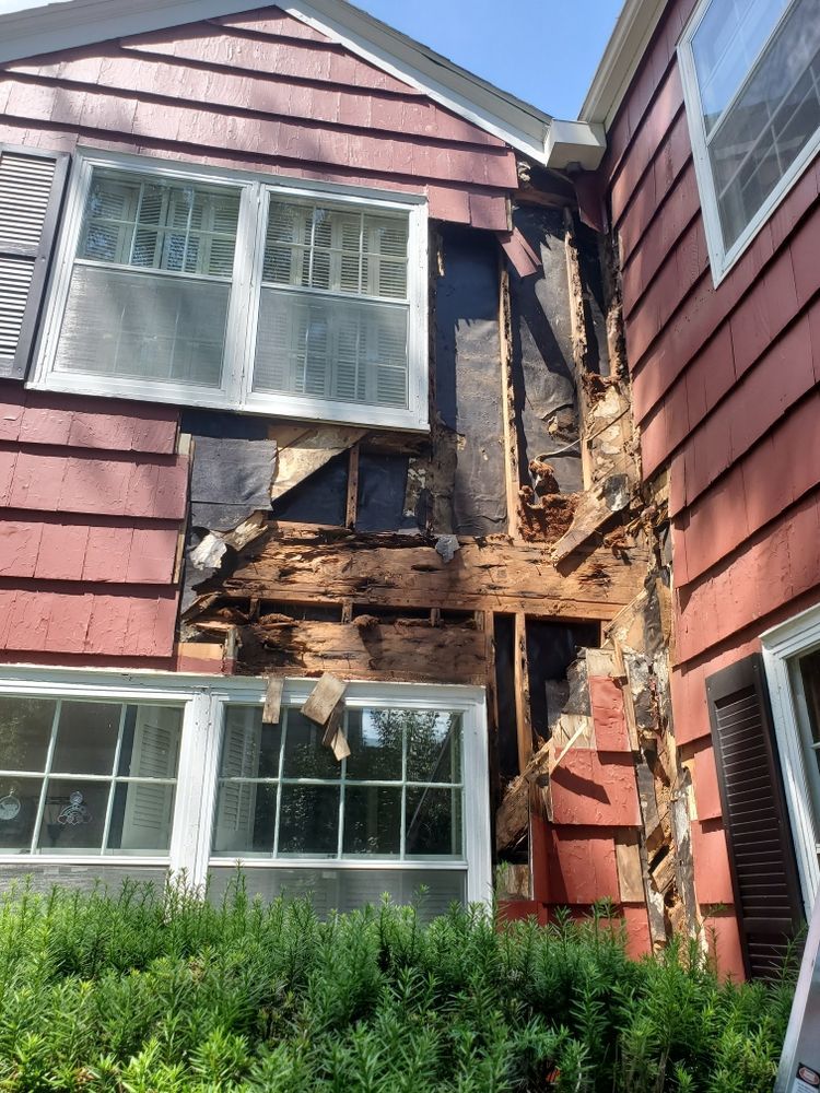 Exterior house wall with extensive wood rot, revealing inner structure.