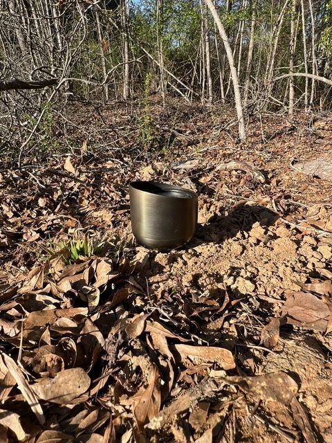 A small pot is sitting on a pile of leaves in the woods.