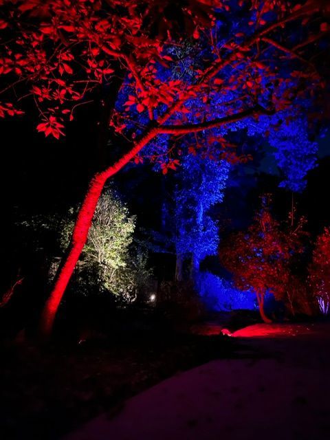 A house with christmas lights on it is lit up at night.