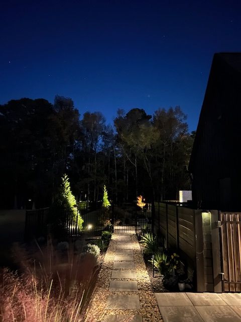 A path leading to a house is lit up at night.