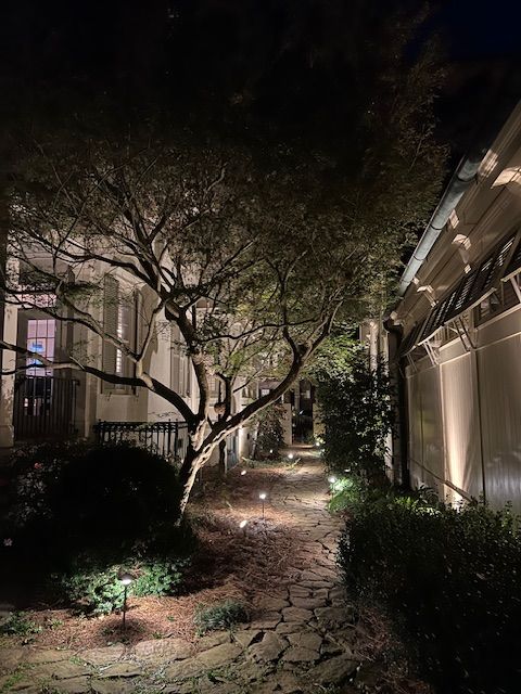 A path leading to a house is lit up at night.