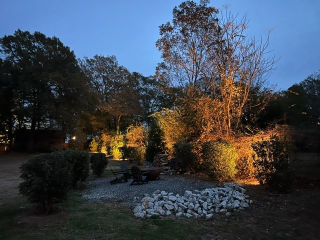 A fire pit in the middle of a forest at night