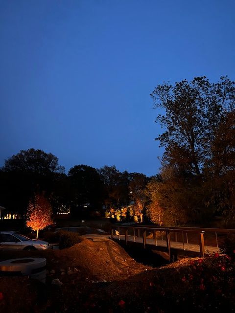 A bridge is lit up at night in the middle of a forest.