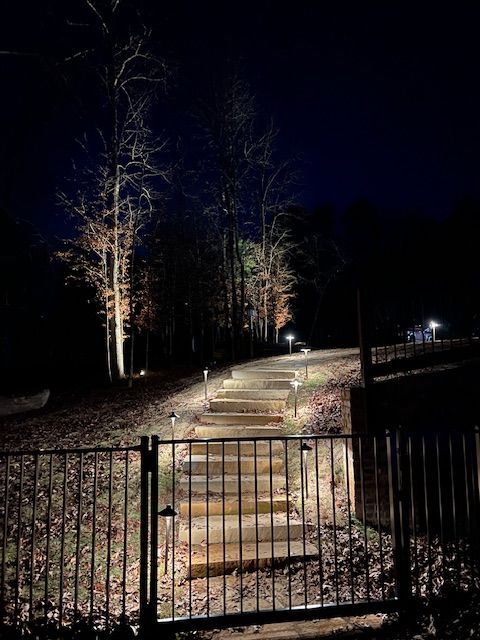 A bridge is lit up at night in the middle of a forest.