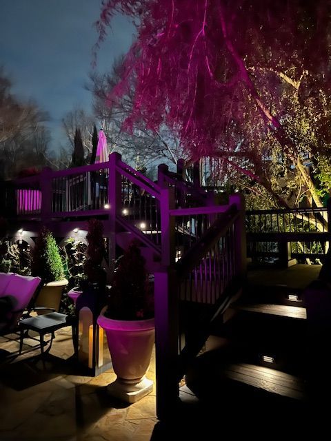 A row of trees are lit up at night in front of a house.