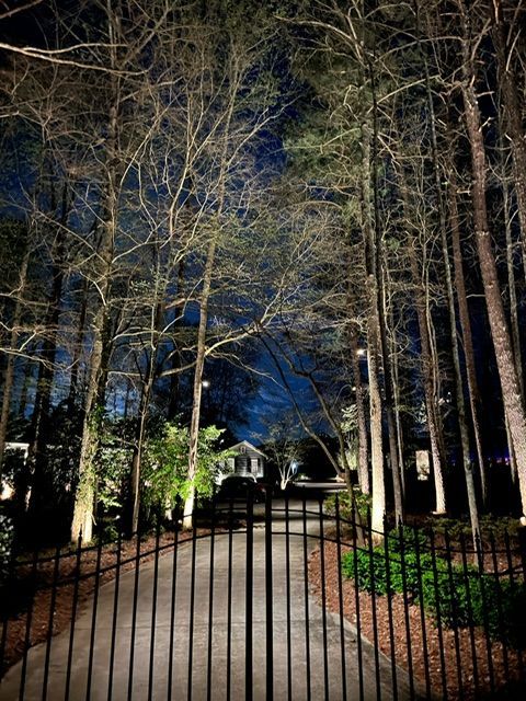 A row of trees are lit up at night in front of a house.
