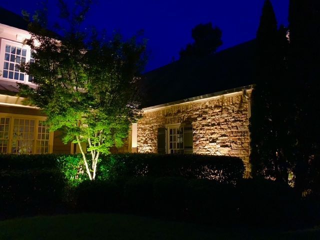 A house is lit up at night with trees and bushes in front of it.