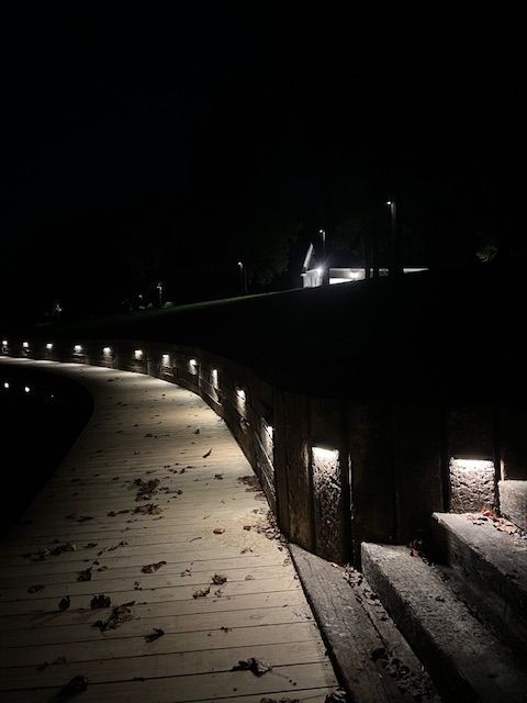 A wooden walkway with lights on the side of it at night.