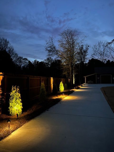 A driveway with trees and a fence lit up at night.