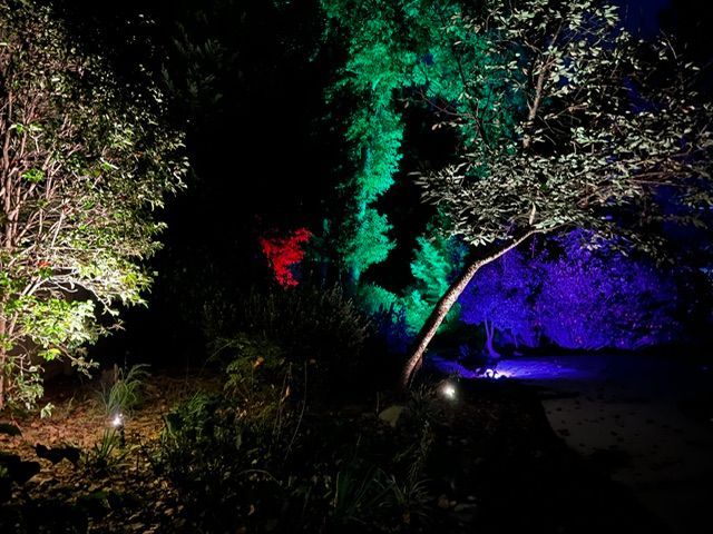 A house is lit up with colorful lights at night