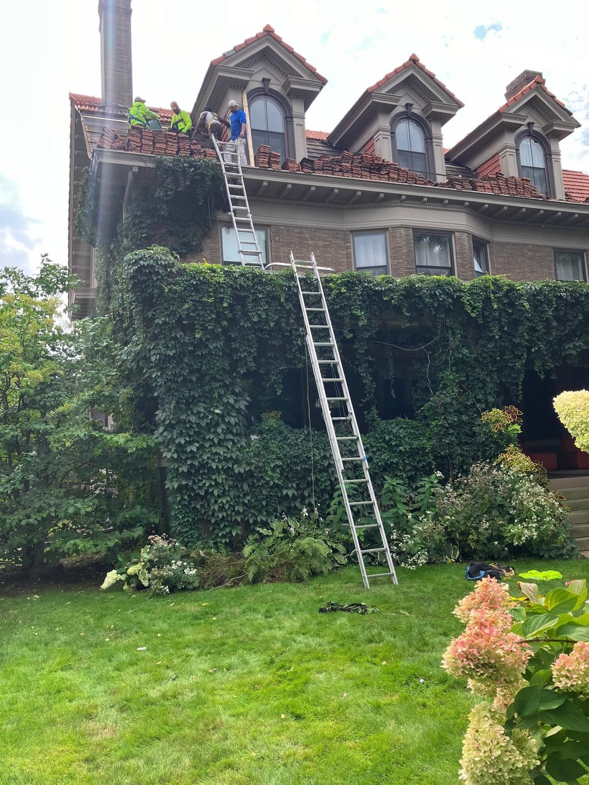 A man is standing on a ladder on the roof of a house.