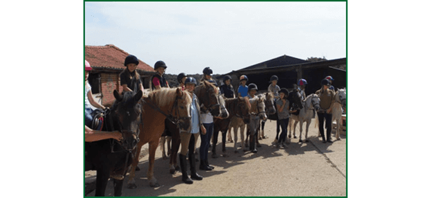 Riding school - Sudbury, Suffolk - Twinstead Riding School  - Horse Riding