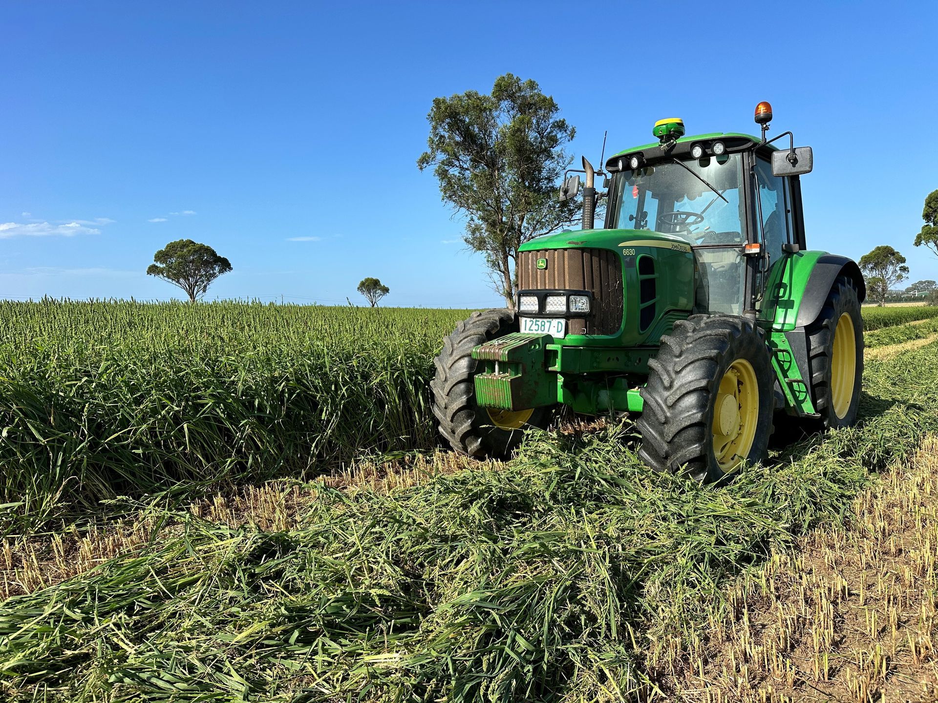 Green John Deere tractor in a field of cut plants under a blue sky with trees in the distance.